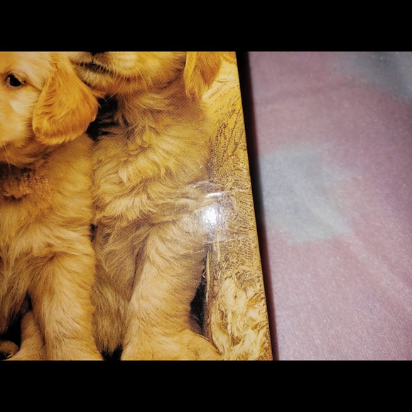 RARE Three Cute Golden Retriever Puppies Journal - Picture 6 of 9